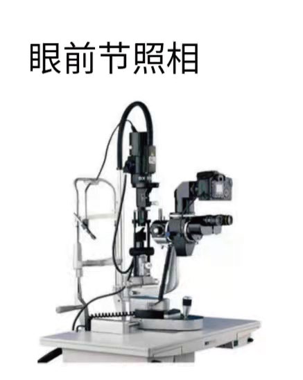 眼前节照相